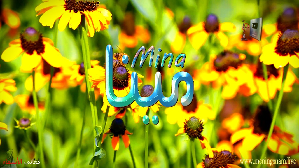 معنى اسم, مينا, وصفات, حاملة, وحامل, هذا الاسم, Mina,