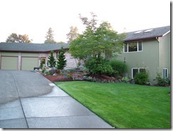 yard 8-6-13 019