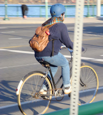 Boston Cambridge bicycle commuter