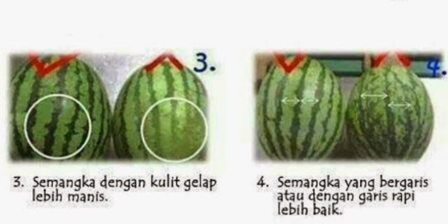 Yuk pahami..!!! BEGINI Caranya Memilih Buah Buahan yang Segar dan Baik untuk dikonsumsi!