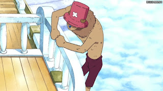 ワンピース アニメ 空島 スカイピア 157話 チョッパー Tony Tony Chopper | ONE PIECE Episode 157 Skypiea