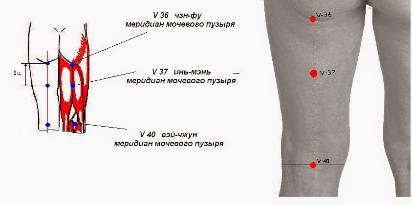 Точка ужасно. Точка v40 Вэй-Чжун. Точка Вэй Чжун (v40) канала мочевого пузыря. Точечный массаж Меридиан мочевого пузыря. Точка Инь Мэнь.
