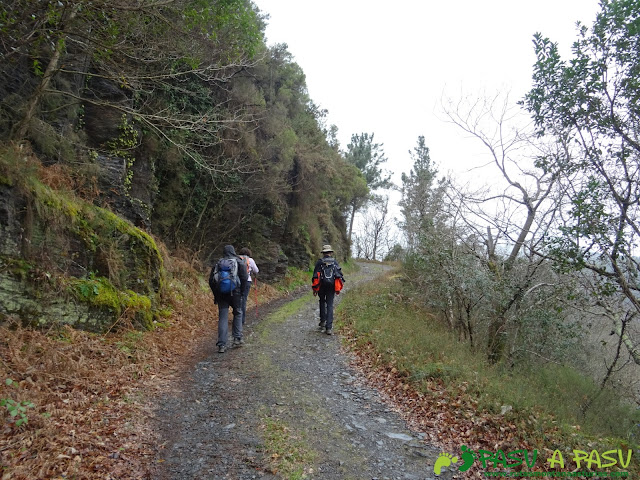 Camino entre el Rebollal y Silvón