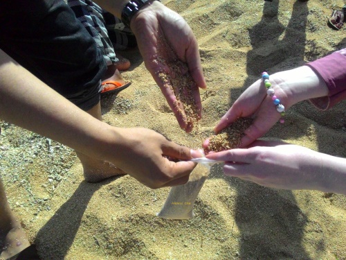 pasir merica pantai kuta mandalika lombok