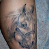 Horse head tattoos