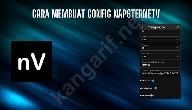 cara membuat config napsternetv