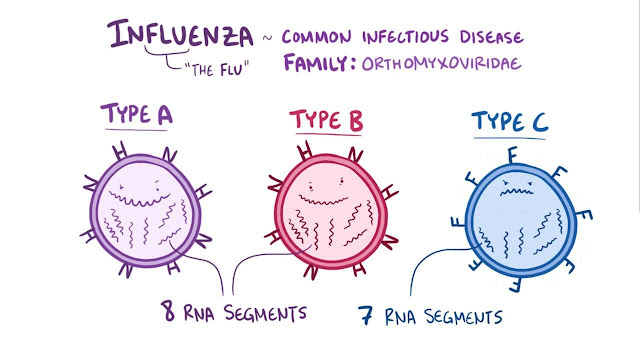 Types of Flu Virus