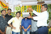 Guruvaram March 1 Movie launch photos-thumbnail-1