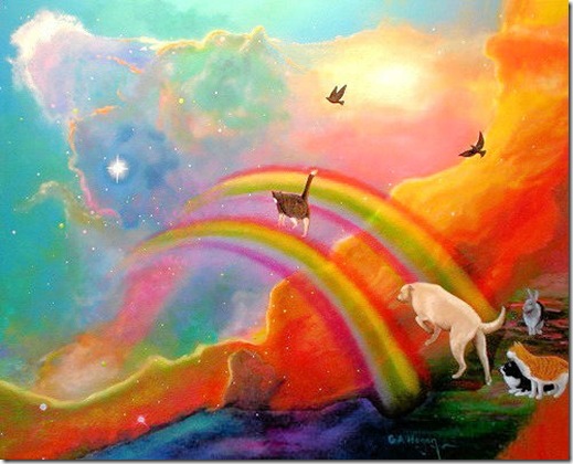 rainbow bridge