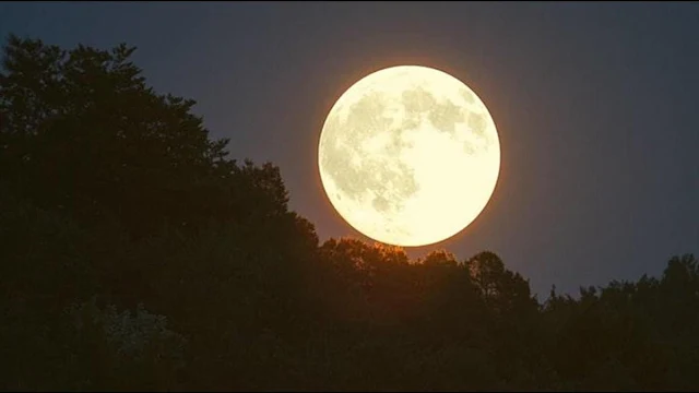 Witness the nearest Giant Full Moon of the Year 2022 - Saudi-Expatriates.com