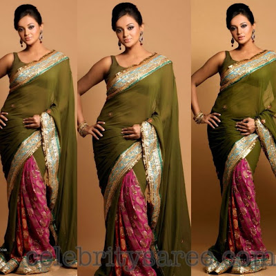 Tanu Roy Georgette Saree