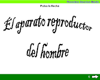 https://cplosangeles.educarex.es/web/edilim/tercer_ciclo/cmedio/las_funciones_vitales/la_funcion_de_reproduccion/el_aparato_reproductor_del_hombre/el_aparato_reproductor_del_hombre.html