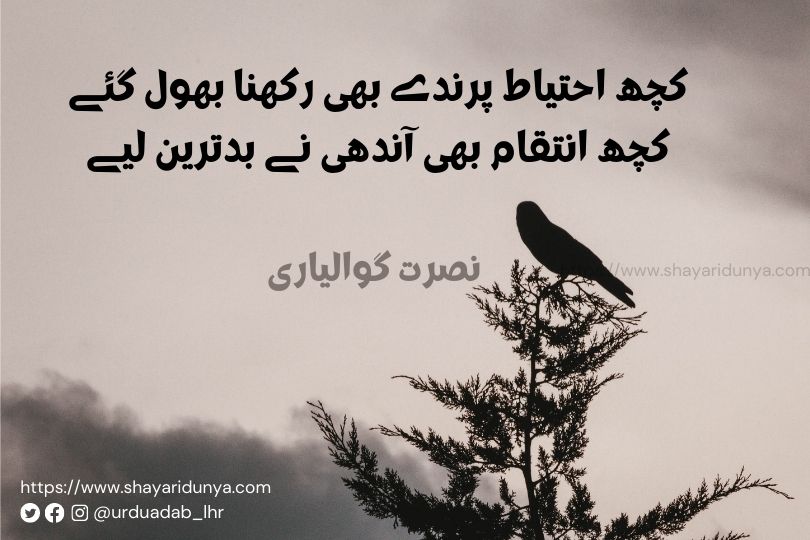 Best parinda shayari | parinda urdu Poetry | Azad Parinda Shayari | parinda shayari collection