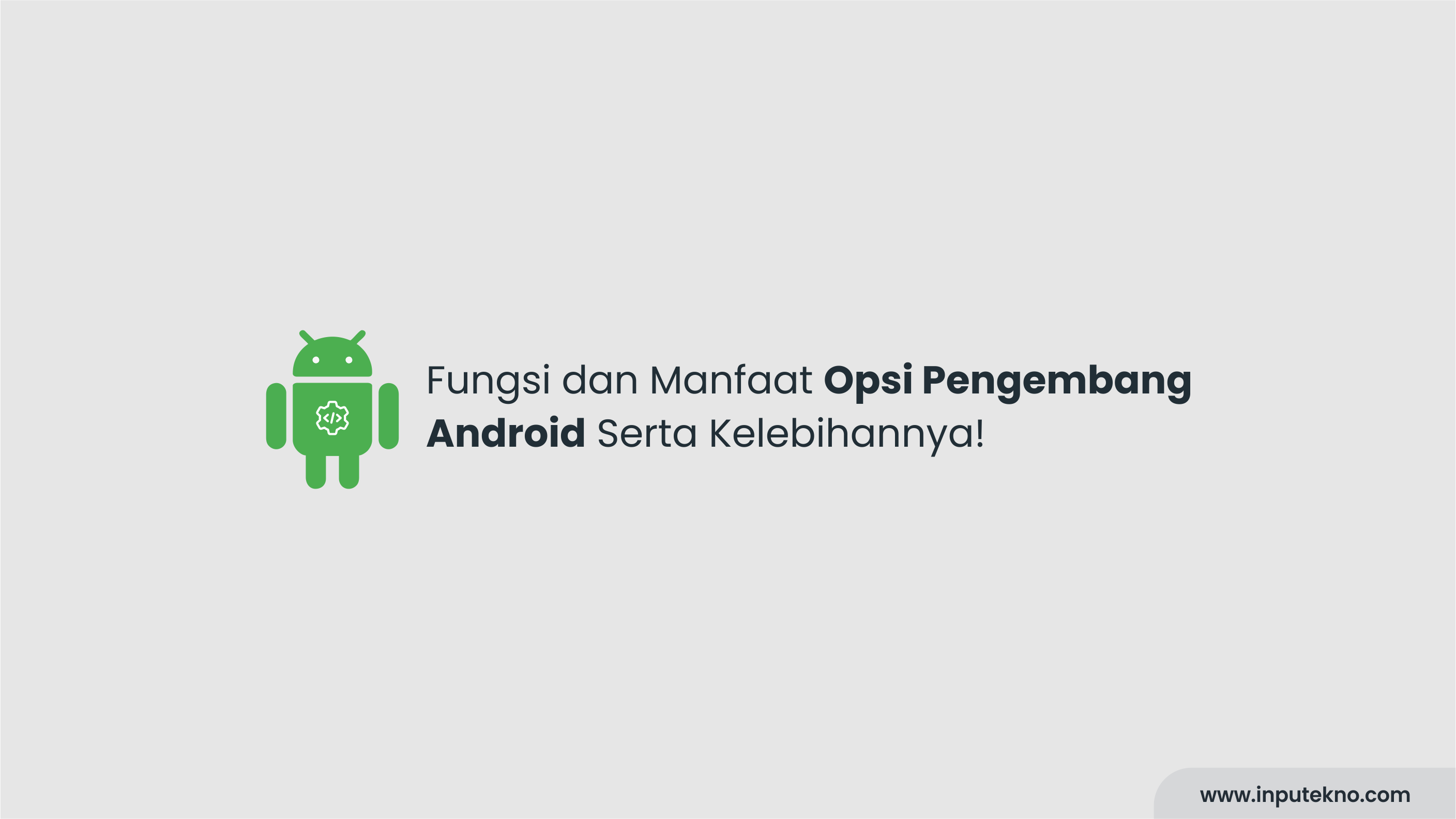 Fungsi dan Manfaat Opsi Pengembang Android Serta Kelebihannya!