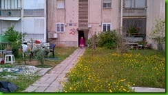 IMG_00004178