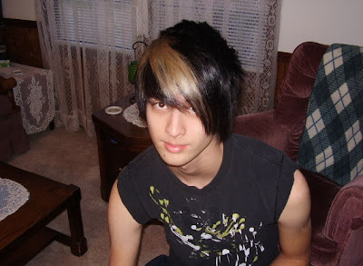 Emo guys hairstyle 2008