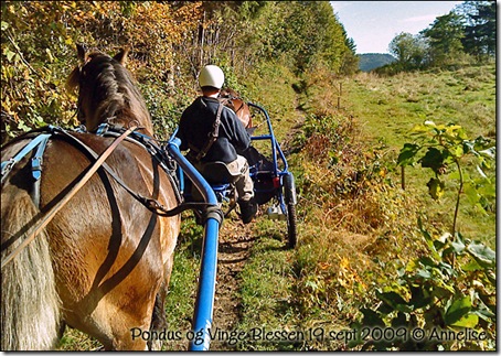 trening-19sept2009_03