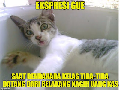 13 Meme 'Kucing' Ini Lucu Banget Bikin Gemes Campur Ngakak