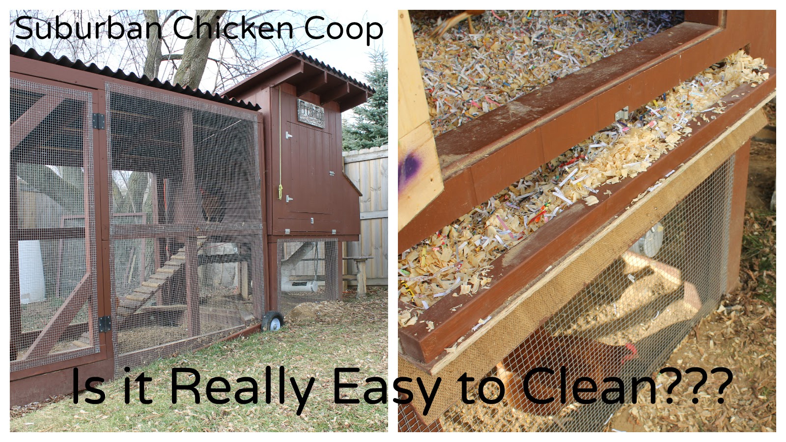 "Easy-To-Clean" Suburban Chicken Coop Really Easy to Clean? ~ Simple ...