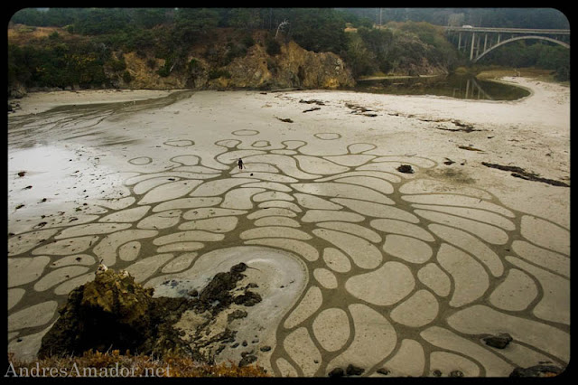 Incredible Works of Beach Art by Andres Amador