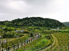 Zhuzihu at Yangmingshan Taiwan
