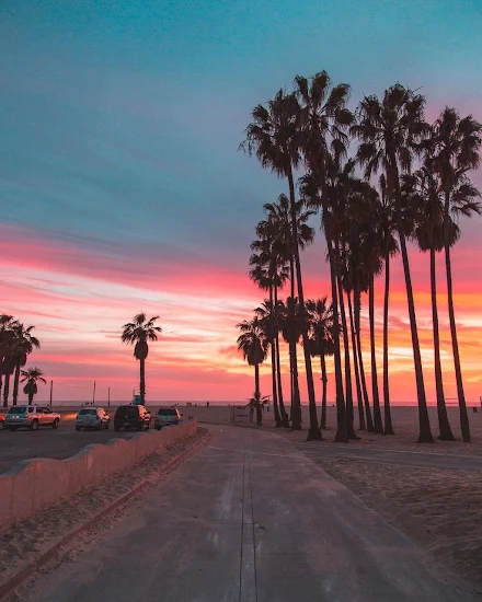 Venice Beach Los Angeles