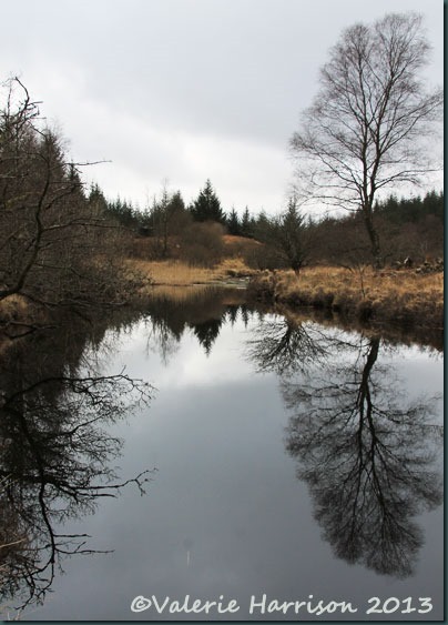 18--reflections