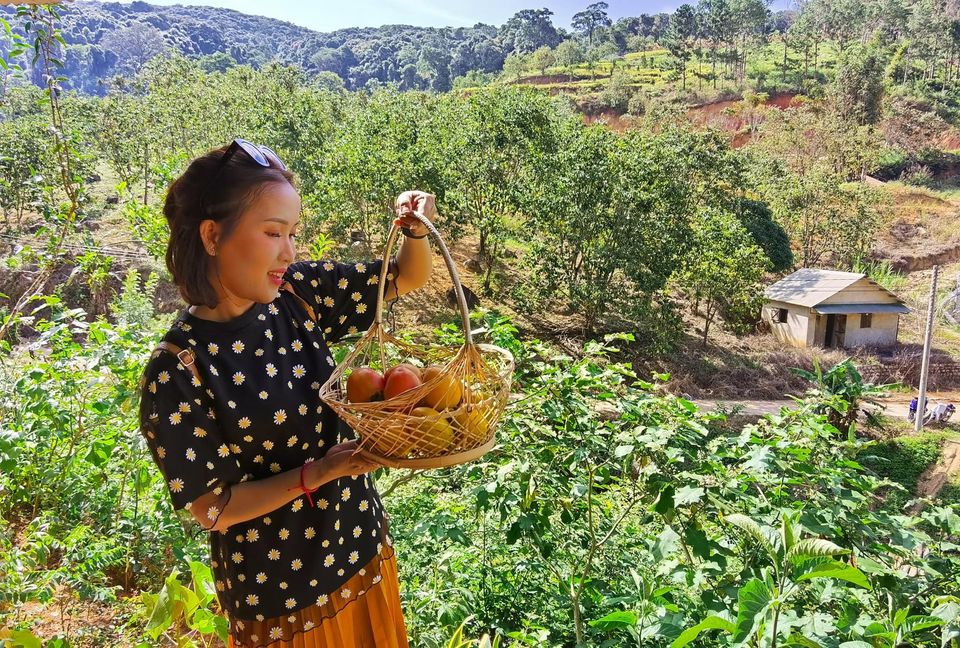 vườn hồng Đà Lạt