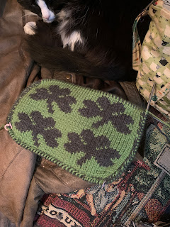 Handknit gray shamrocks on a green stockinette background with a black and white fluffy cat in the background.