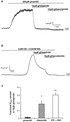 glimepiride