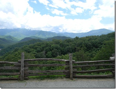 DSCN4390
