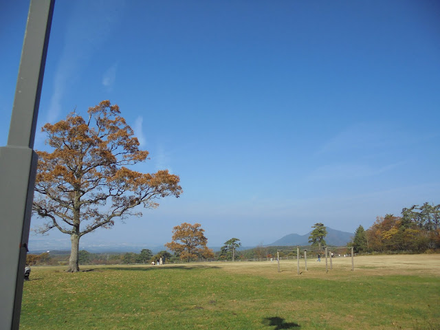 大山牧場みるくの里