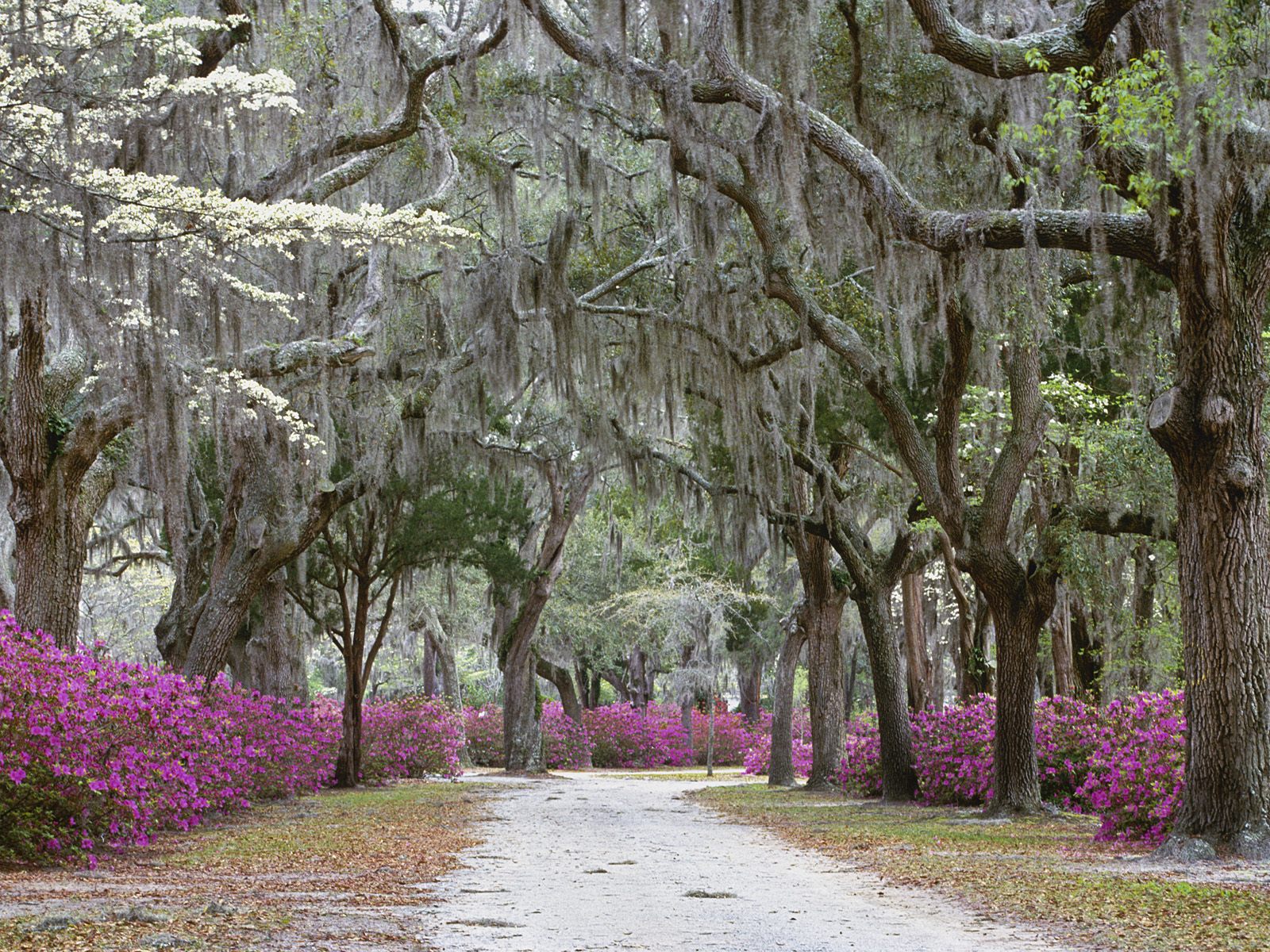 Savannah Georgia