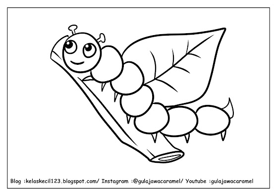 contoh lembar mewarnai tema serangga untuk anak PAUD/TK/SD