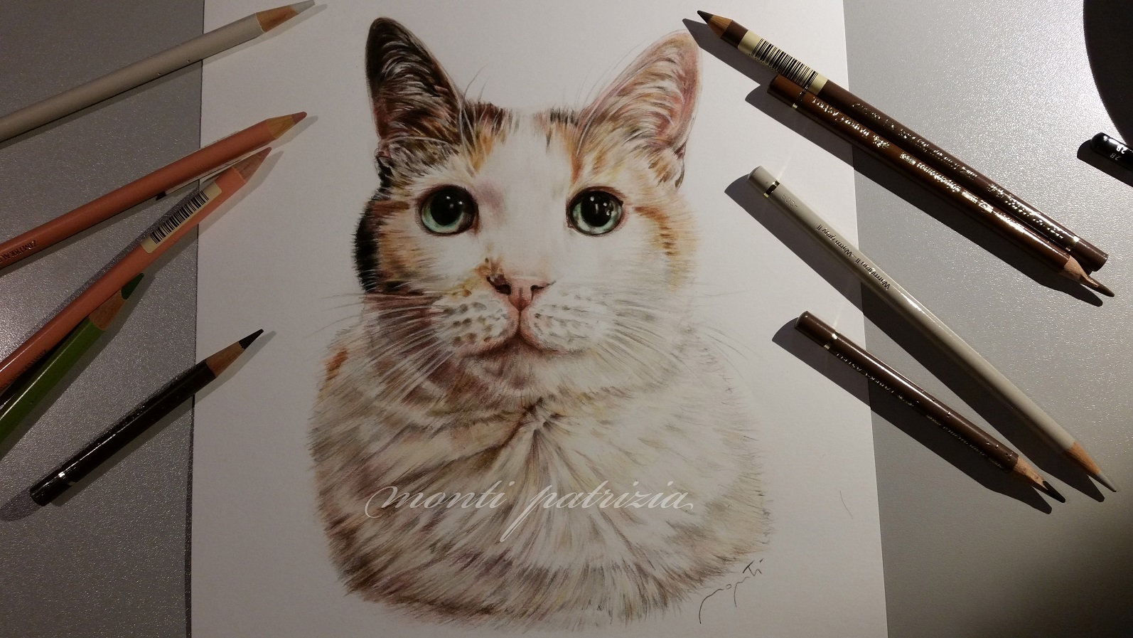 disegno a matite colorate "Minnie " ritratto di un gatto