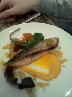 Mackerel at Arbutus