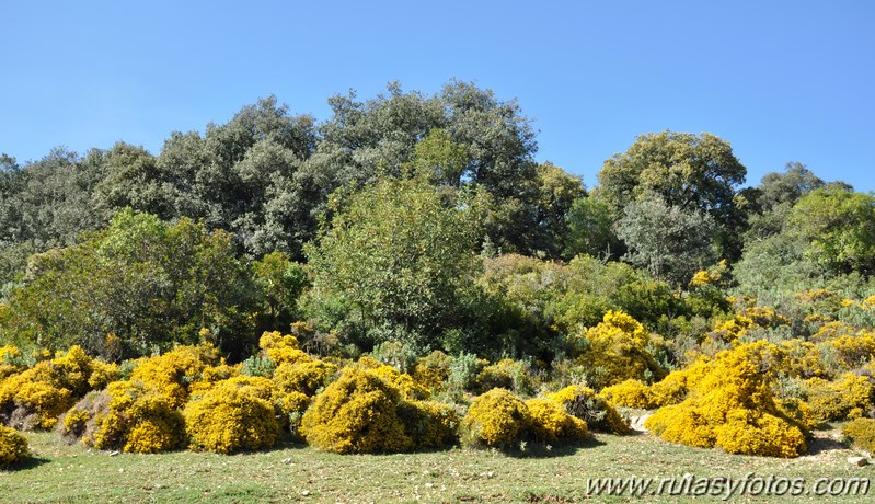 Cerros Albarracinejo-Peñuelas-Ponce-Albarracin y Alto del Puntal