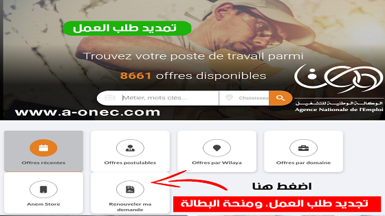 موقع وكيفية تجديد منحة البطالة هنا wassitonline.anem.dz