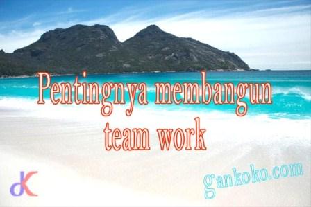 https://www.gankoko.com/2023/11/pentingnya-membangun-team-work.html