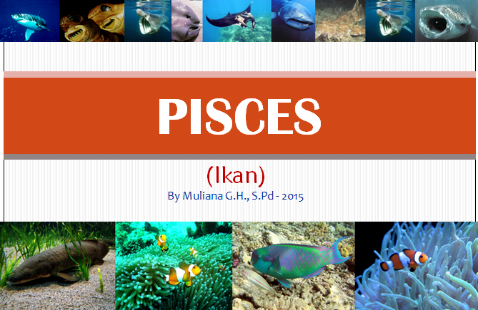  Pisces  Pendidikan Biologi