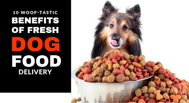 Benefits of Fresh Dog Food Delivery