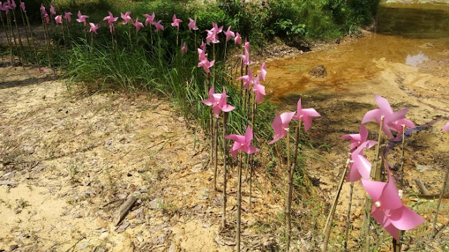 Lembah Pelangi