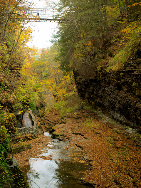 Suspended Bridge en Watkins Glen