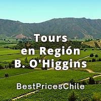 Tours y Actividades Turisticas en O'higgins