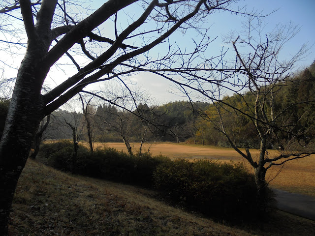 この丘が日焼山地区の遺跡