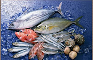 Newest 31+ Fresh Seafood