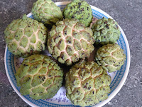 Custard Apple