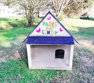 18 ideas de refugios DIY al aire libre para gatos callejeros