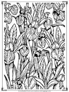 bee coloring pages for adult