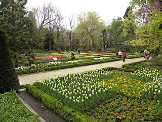 Botanic Garden Madrid Demuinck Pardon